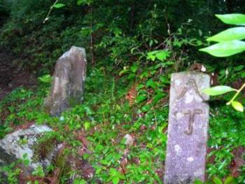 遍路ころがし・焼山寺登り下り_f0213825_14511067.jpg