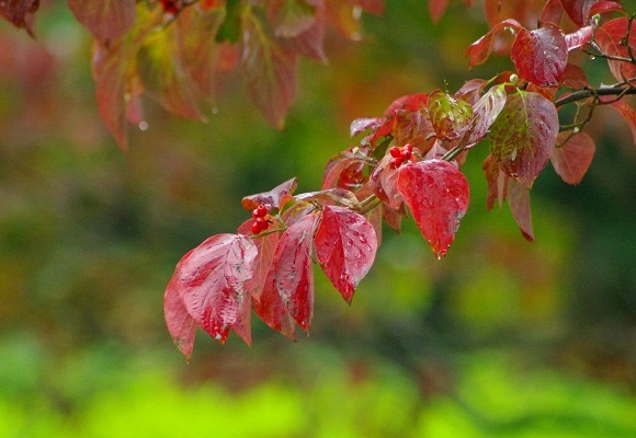 f0214527_11101212.jpg