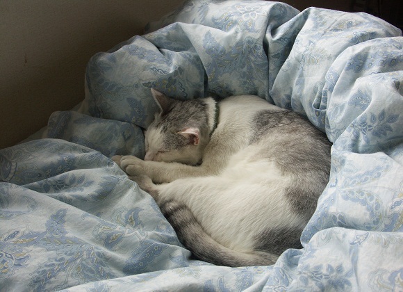 f0214527_11175696.jpg