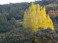 c0158033_21135732.jpg