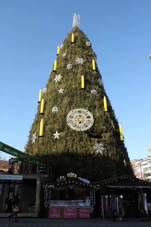 e0210837_6181469.jpg