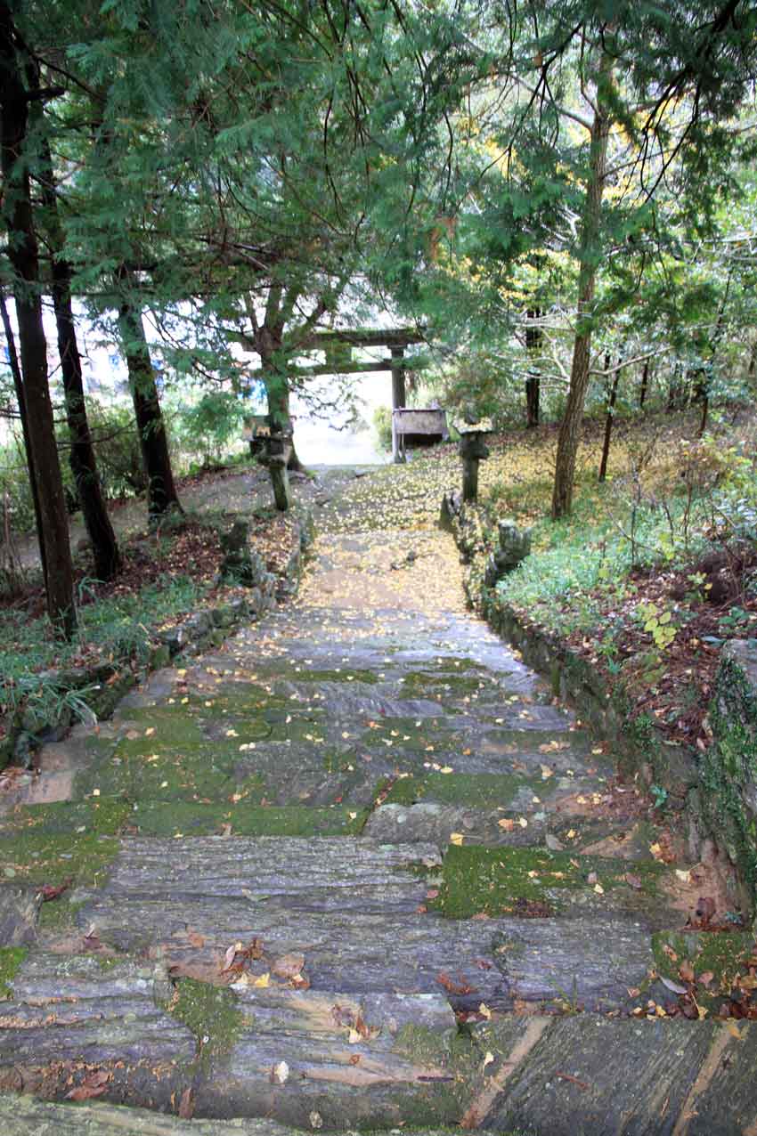 天返(雨返)神社の紅葉♪_d0058941_2093742.jpg