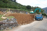 b0082242_836547.jpg