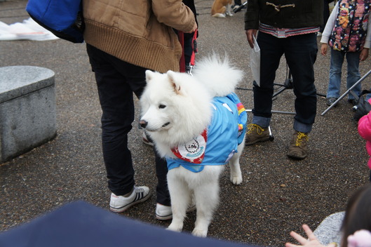 ZIPPEI 京都編_f0128542_10423738.jpg