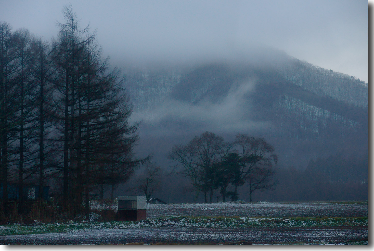 初雪‥_e0070545_23435236.jpg