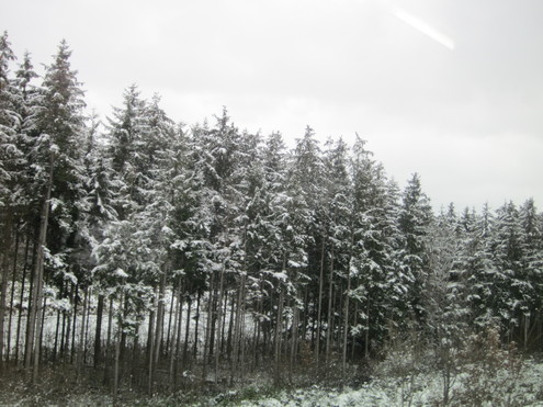a0162251_15401043.jpg