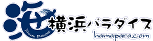 c0119160_114204.gif