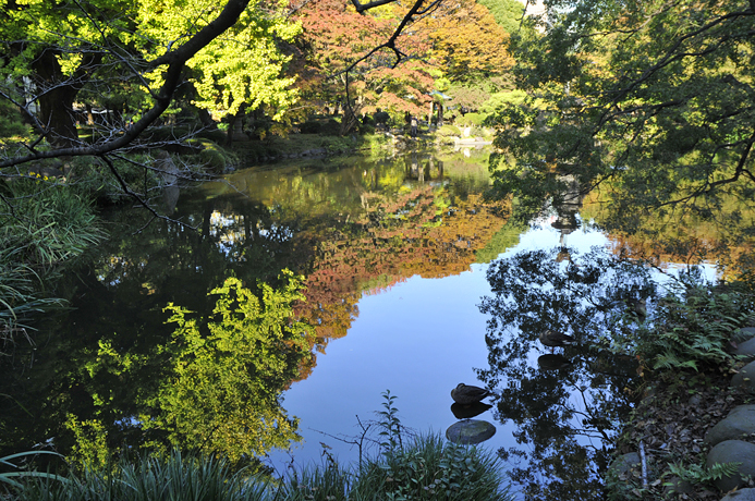 日比谷公園の木々の色づき始めを_d0251161_11311721.jpg