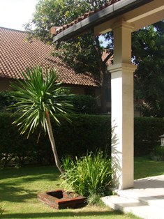 d0083068_19203268.jpg