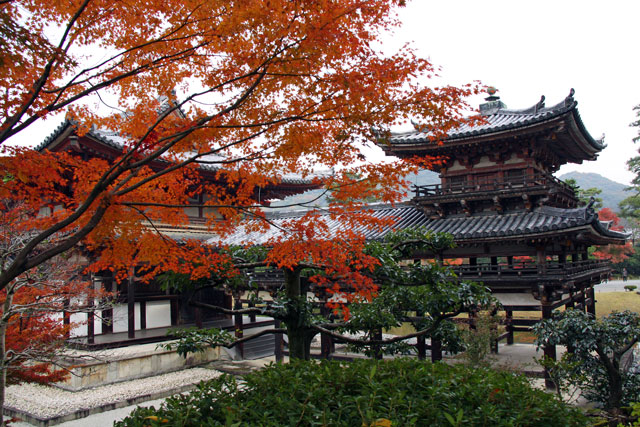 京都　紅葉狩り　２０１１　二日目　１１月２９日_b0041473_2275947.jpg