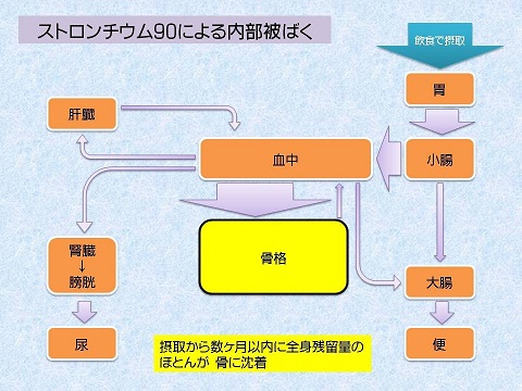 「NNSA(アメリカ国家核安全保障局)による大気中のダスト分析データ」を読む(改訂版)_c0139575_20265388.jpg