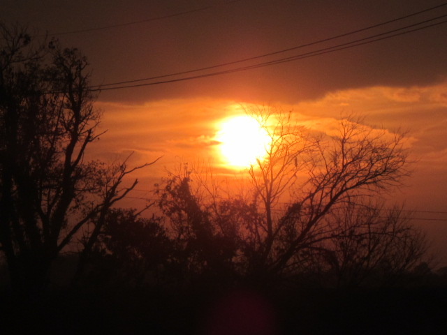 f0005081_1933178.jpg