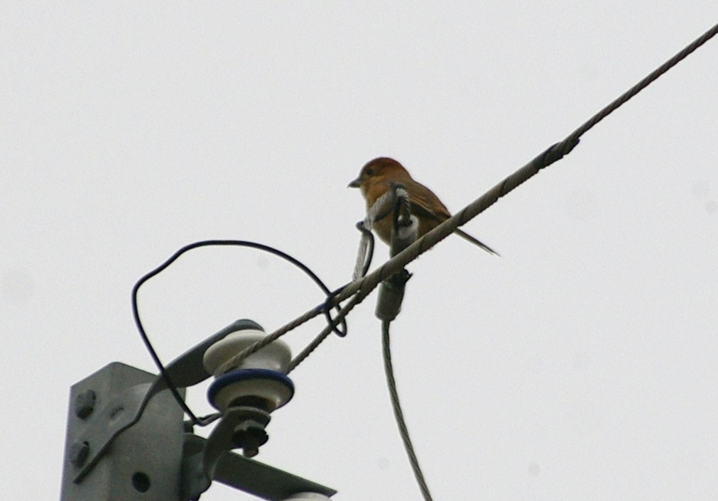 e0197884_071144.jpg