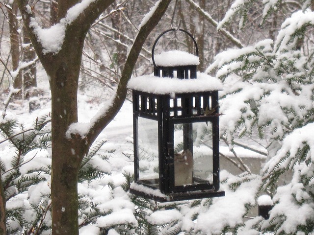 初雪_d0133485_9445944.jpg
