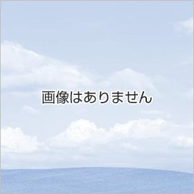 人気（ひとけ）の少ない祝日の五反田・・・だから_f0033986_17441915.jpg