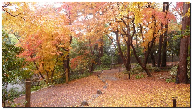 本多の森公園～大乗寺坂～鈴木大拙館～中村記念美術館_f0079990_9365099.jpg