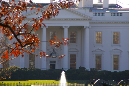 a0141892_134329.jpg