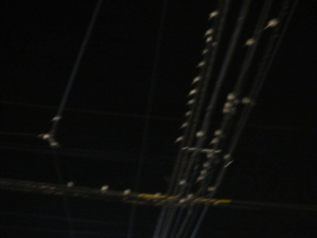 c0078592_073885.jpg