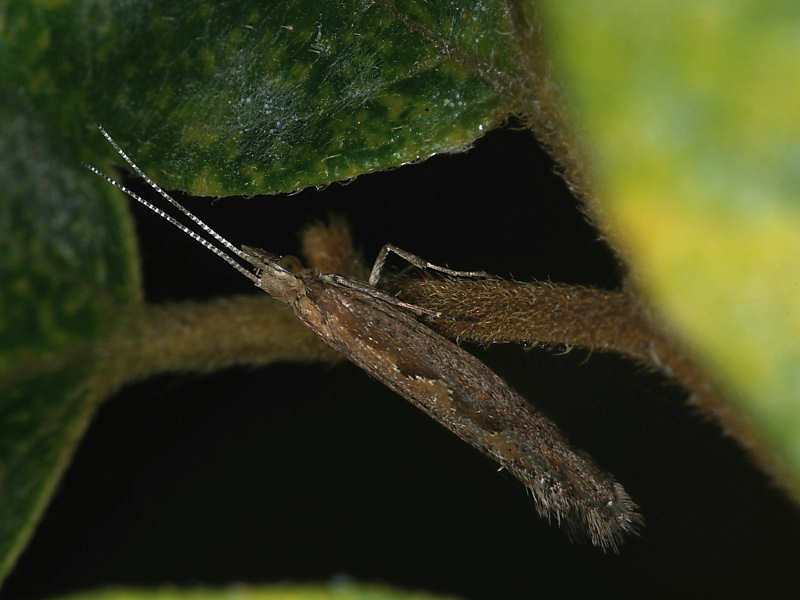 f0204094_233416.jpg