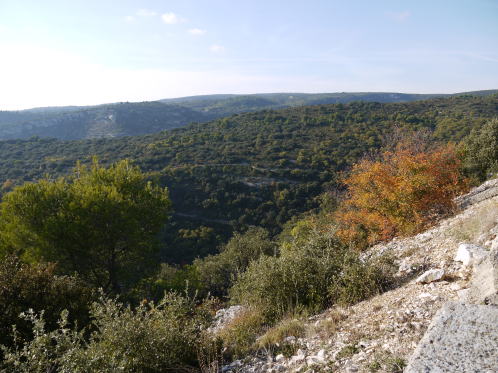 c0090198_3212823.jpg