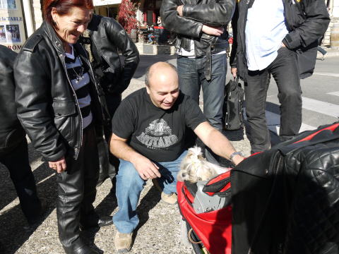 c0090198_362445.jpg