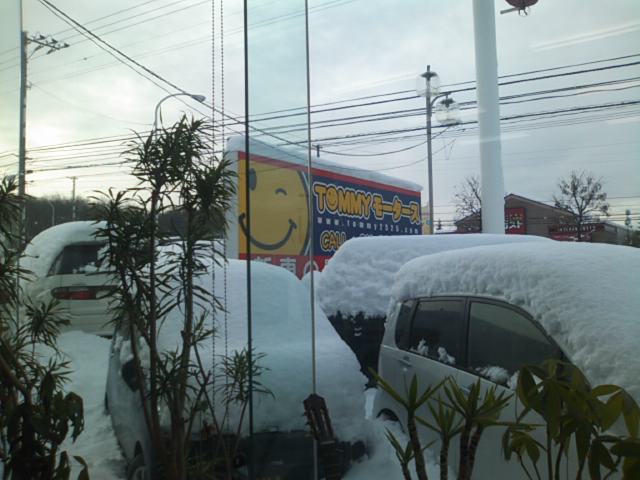 ウッチーブログ!!ランクルトミー!!_b0127002_21305542.jpg