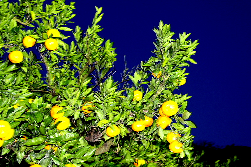 d0248502_20142345.jpg