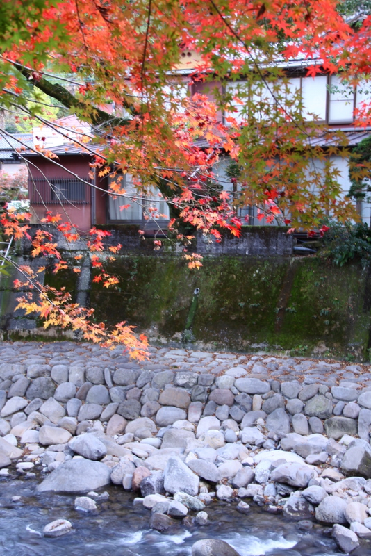 d0248502_2053165.jpg