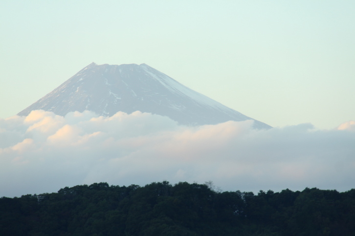 d0248502_2094684.jpg