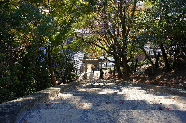 b0190603_16543463.jpg