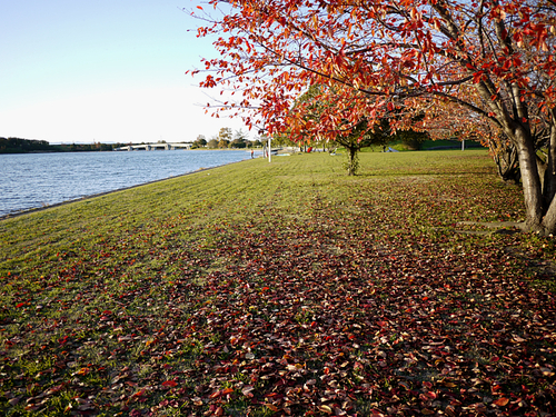 c0187503_18154734.jpg