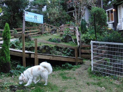 a0032004_15201016.jpg