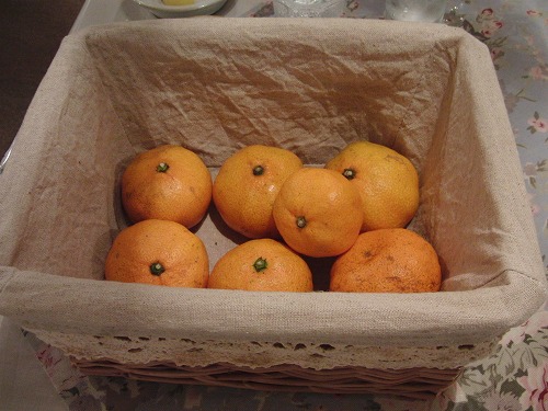 a0032004_1549348.jpg
