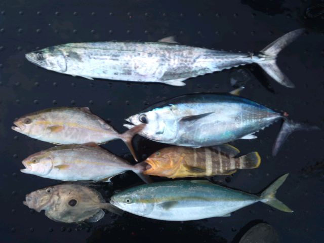 d0224204_17402351.jpg