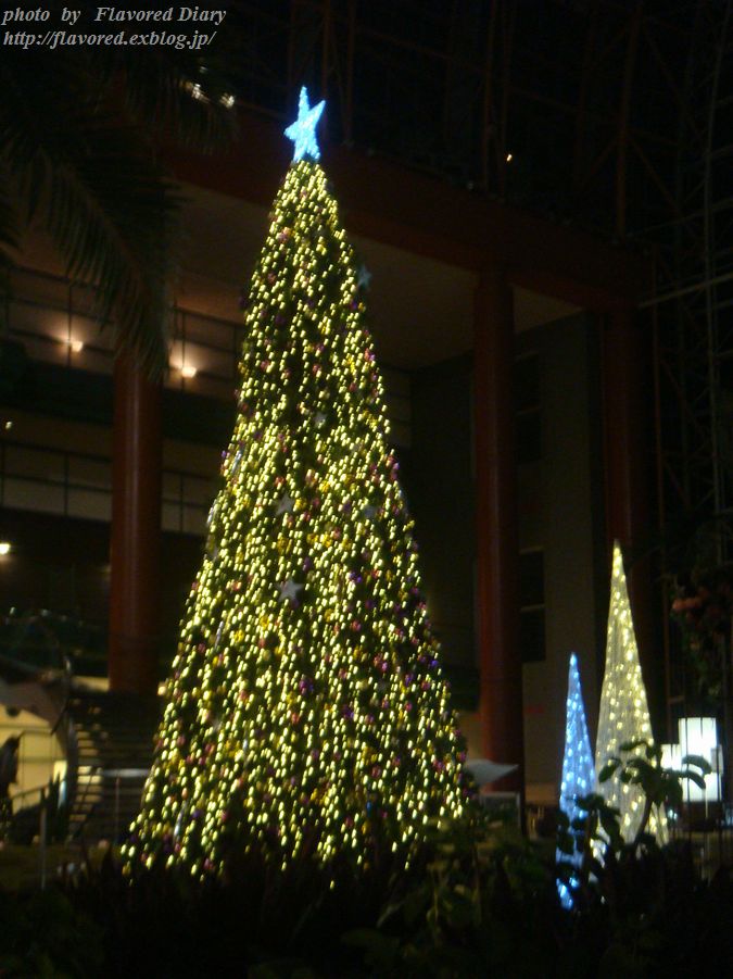 b0176210_23524374.jpg