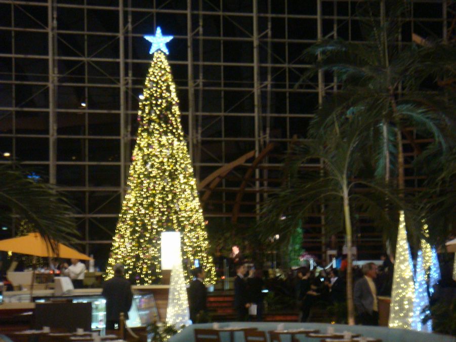 b0176210_23542576.jpg