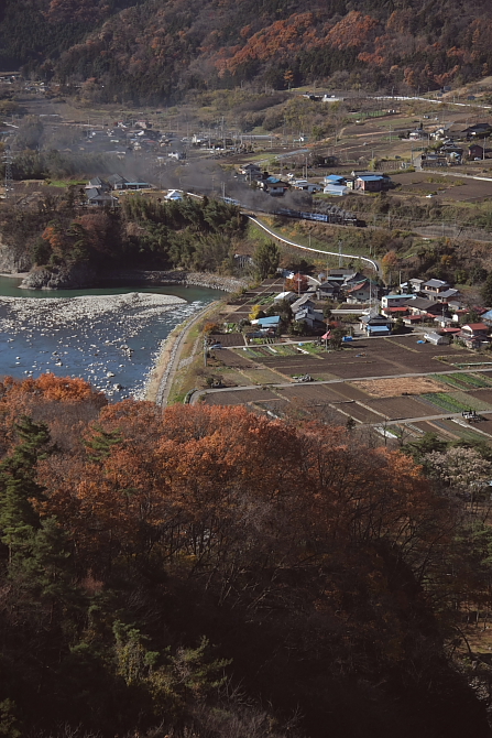 今年最後の彩り - 2011年初冬・上越線 -_b0190710_22523831.jpg
