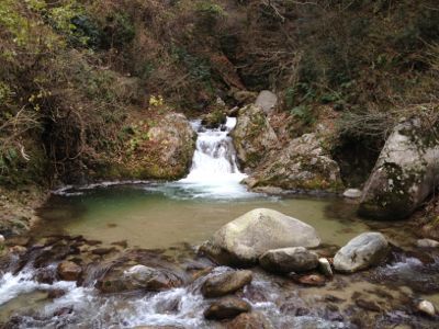 c0065410_18551478.jpg
