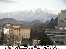 盛岡の旅 【なっちゃん七変化編】_c0182012_15222728.jpg
