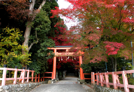 太田神社と本満寺_e0048413_10394123.jpg