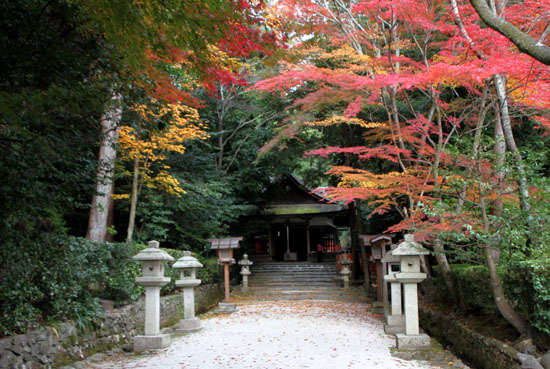 太田神社と本満寺_e0048413_10395671.jpg