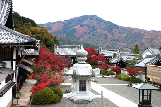 太田神社と本満寺_e0048413_10404574.jpg