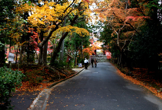 曼殊院　紅葉_e0048413_21361736.jpg