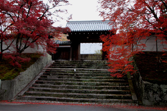 曼殊院 紅葉_e0048413_21362785.jpg
