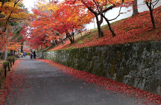 曼殊院　紅葉_e0048413_2137149.jpg