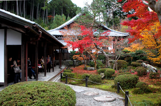 園光寺 紅葉_e0048413_22412576.jpg