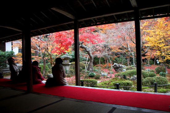 園光寺 紅葉_e0048413_22414795.jpg
