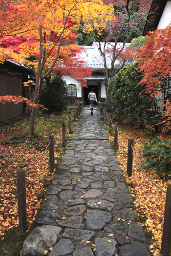 蓮華寺 紅葉終盤_e0048413_23424445.jpg