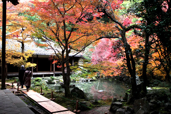 蓮華寺 紅葉終盤_e0048413_23433773.jpg