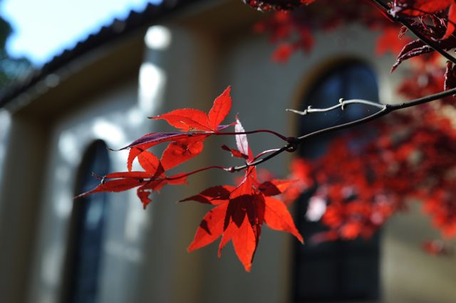 e0122013_2118108.jpg